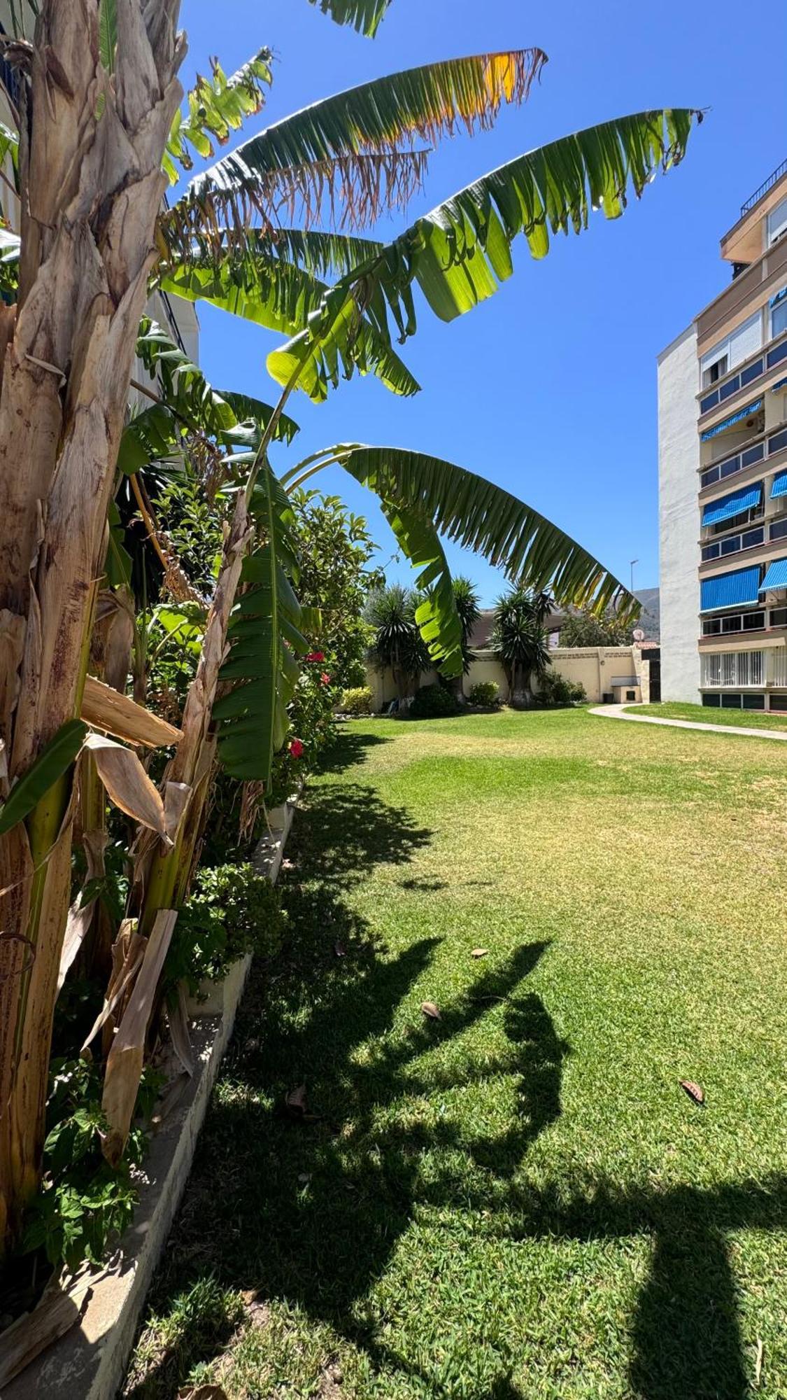 Cactus Stay Apartamento توريمولينوس المظهر الخارجي الصورة